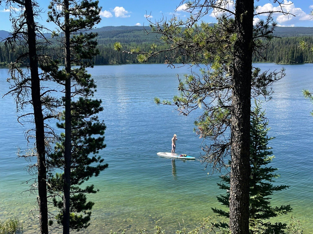 省立 William A. Switzer 公园-兴顿必去景点