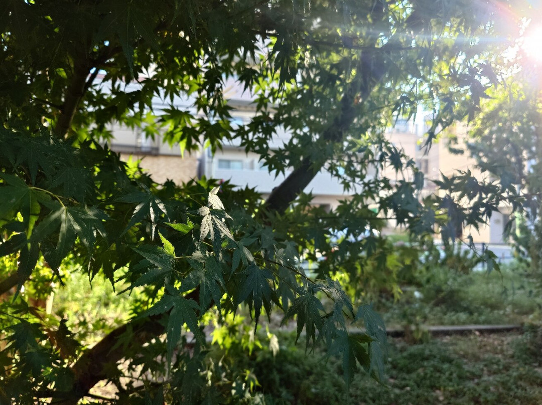 Ninjin Park-Hakataekimae必去景点