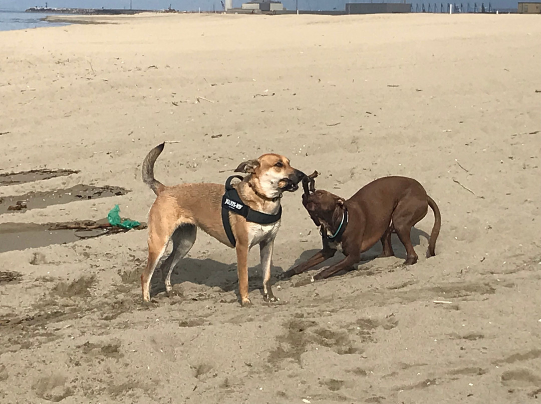 Spiaggia Della Lecciona-维亚雷焦必去景点