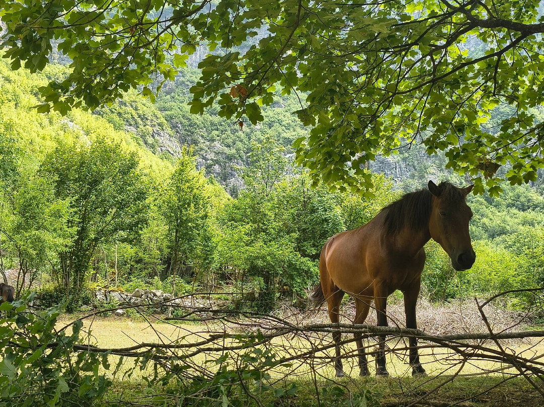 North Albania Alps-Theth必去景点