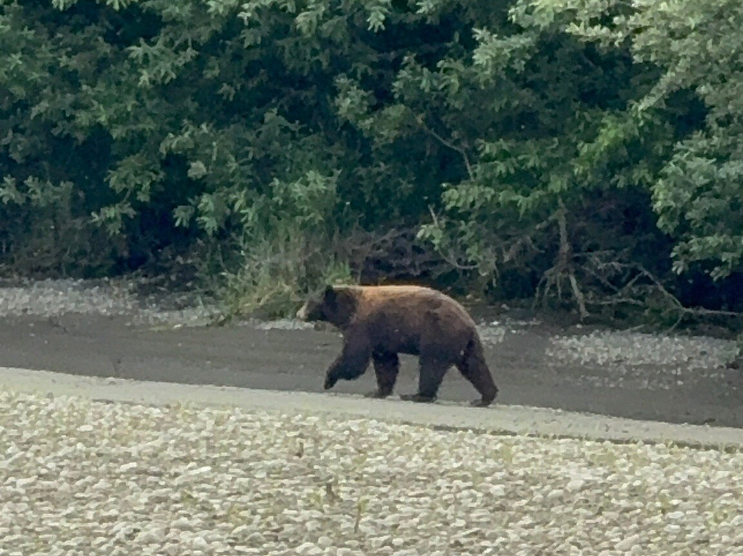 Klamath River Jet Boat Tours-克拉马斯必去景点