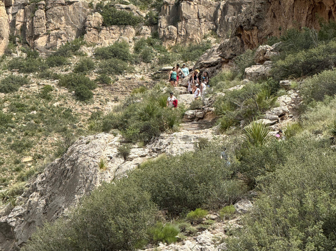 Sitting Bull Falls-卡尔斯巴德必去景点