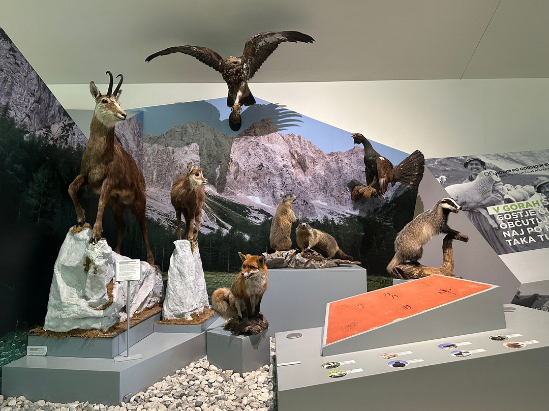 Slovenian Alpine Museum-Mojstrana必去景点