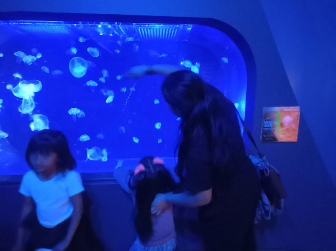 Acuario Michin Puebla-普埃布拉必去景点