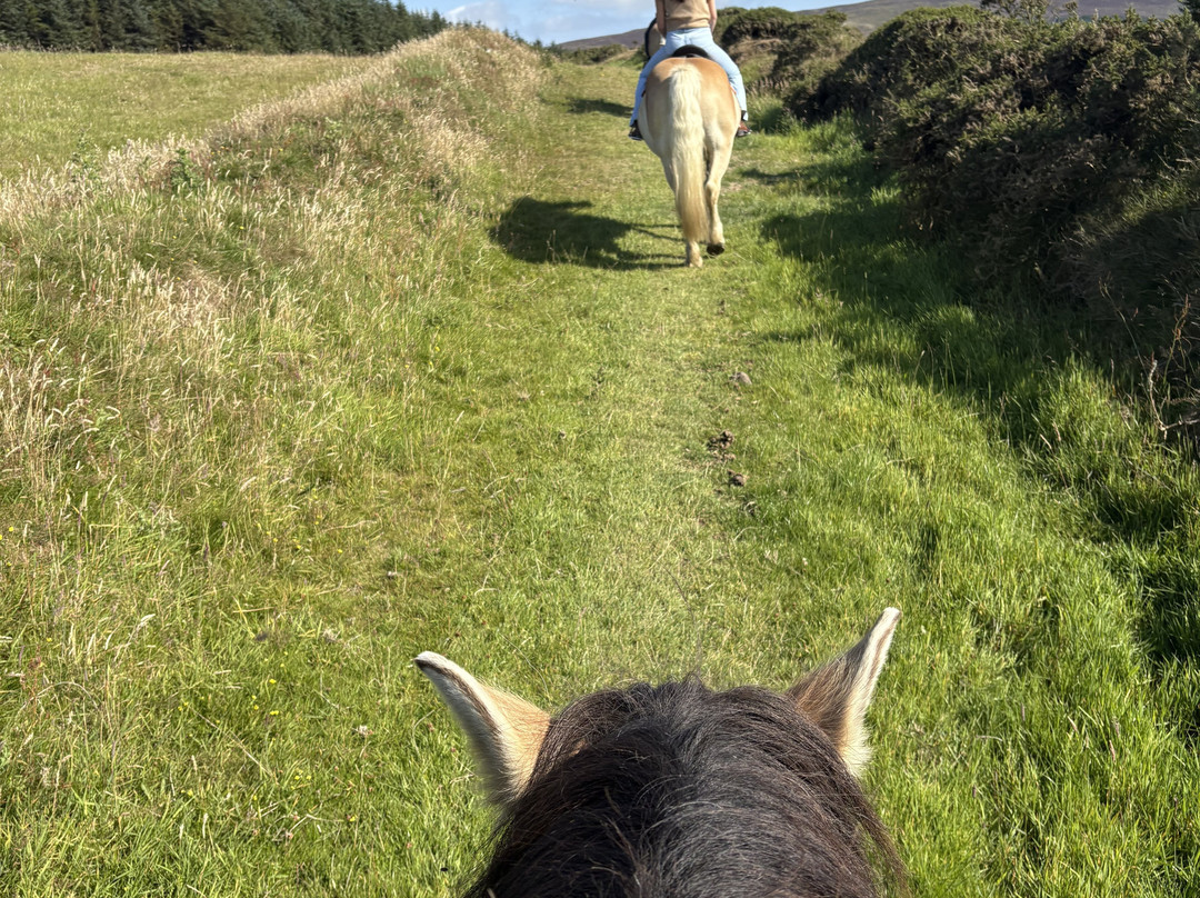 Ballahimmin Riding & Pony Trekking Centre-马恩岛必去景点