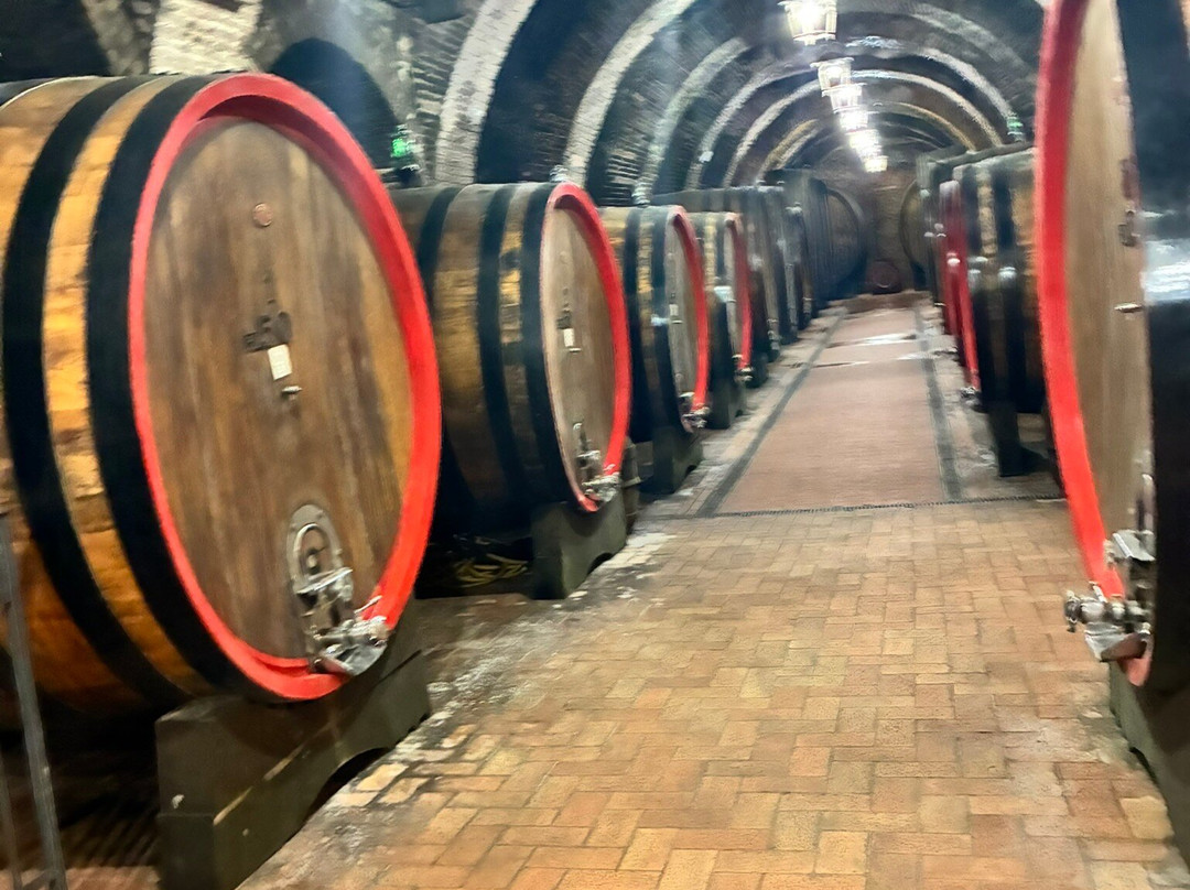 Cantina Fattoria della Talosa-蒙特普尔恰诺必去景点