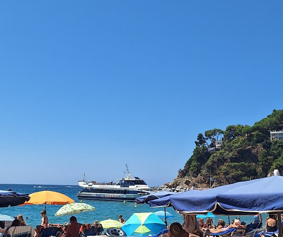 Platja de Canyelles-犹兰特德玛必去景点