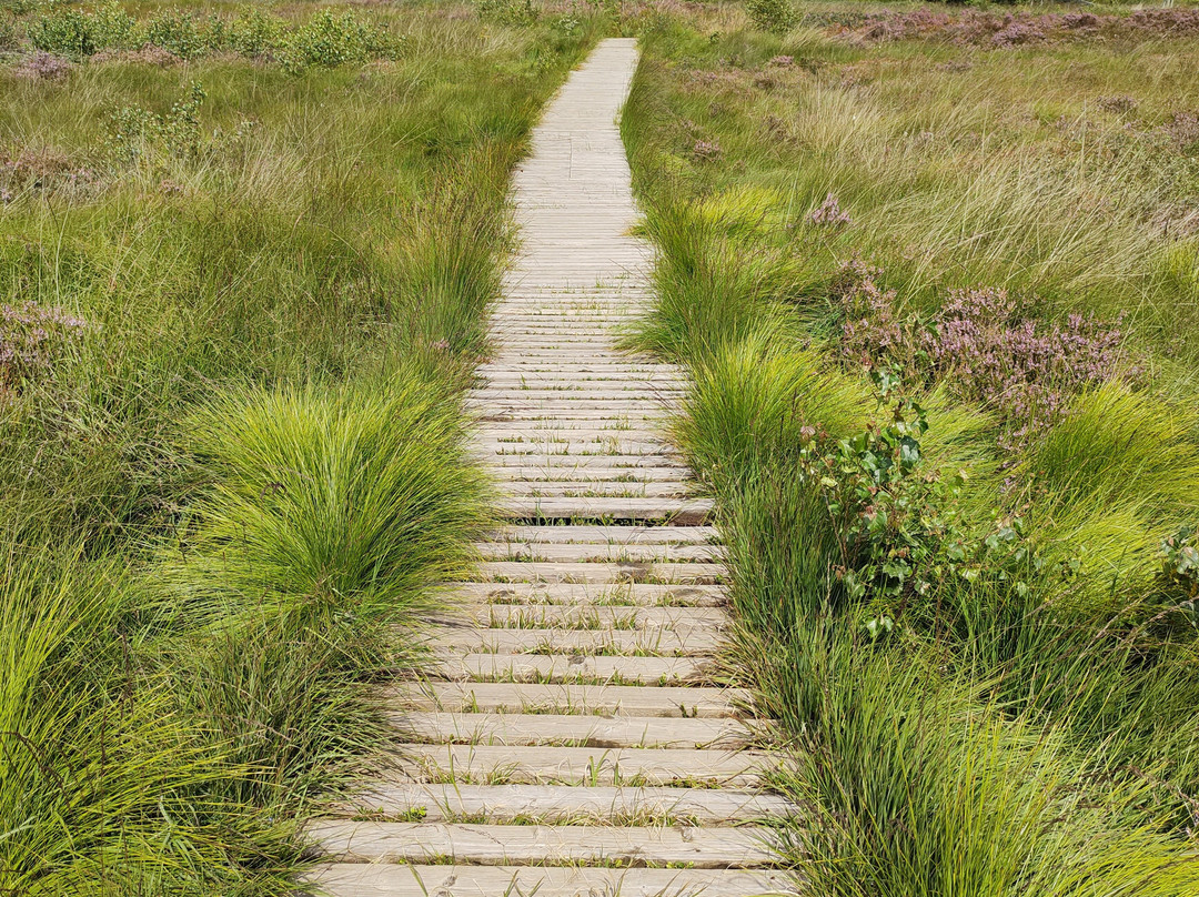 Domaine de Berinzenne-斯帕必去景点