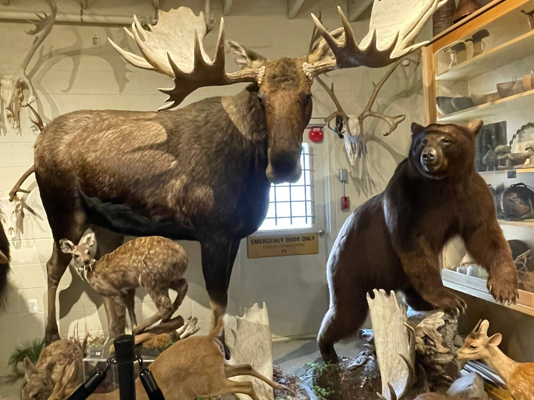 Hand of Man - Museum of Natural History, Cultural Arts & Conservation-邓肯必去景点