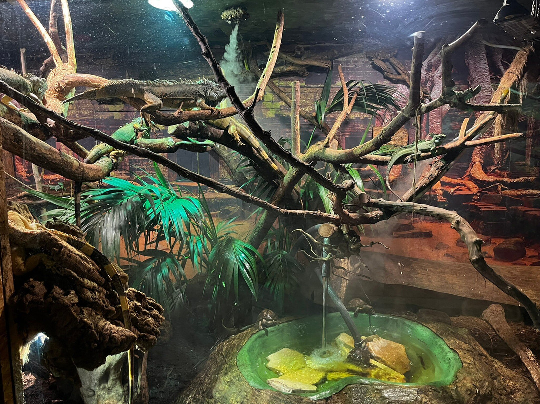 Tropicarium Park-Lido di Jesolo必去景点