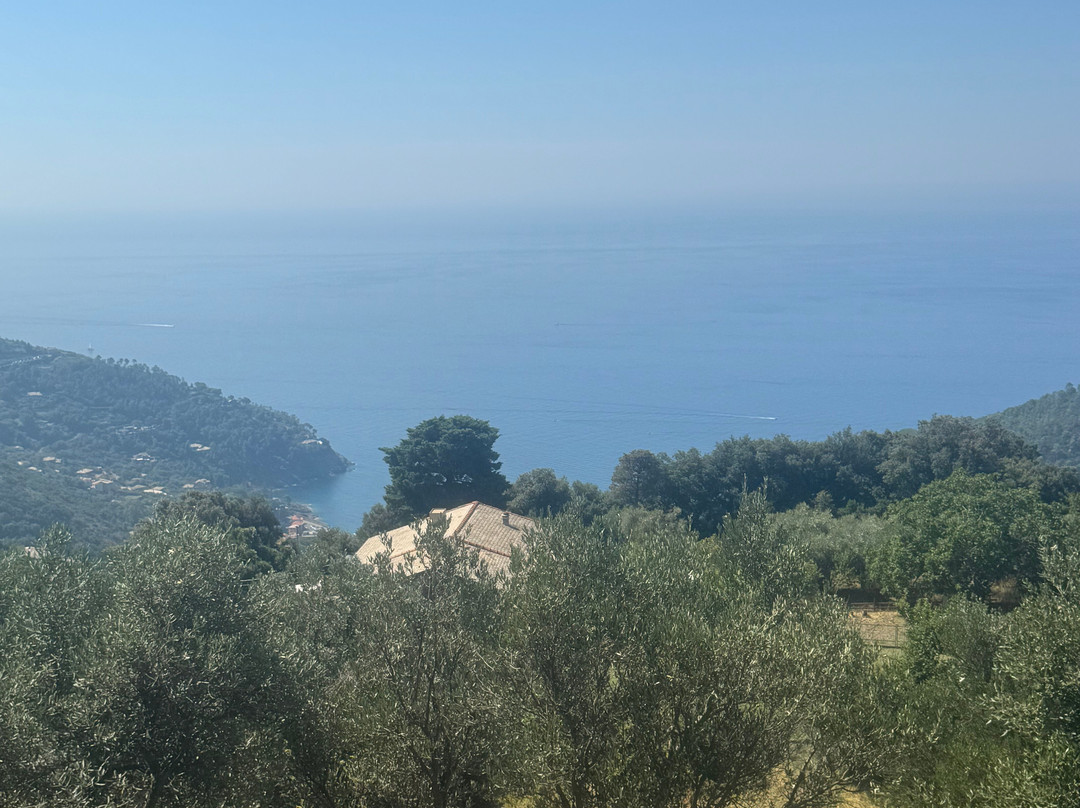 Cà Du Ferrà Wine & Tasting-Bonassola必去景点