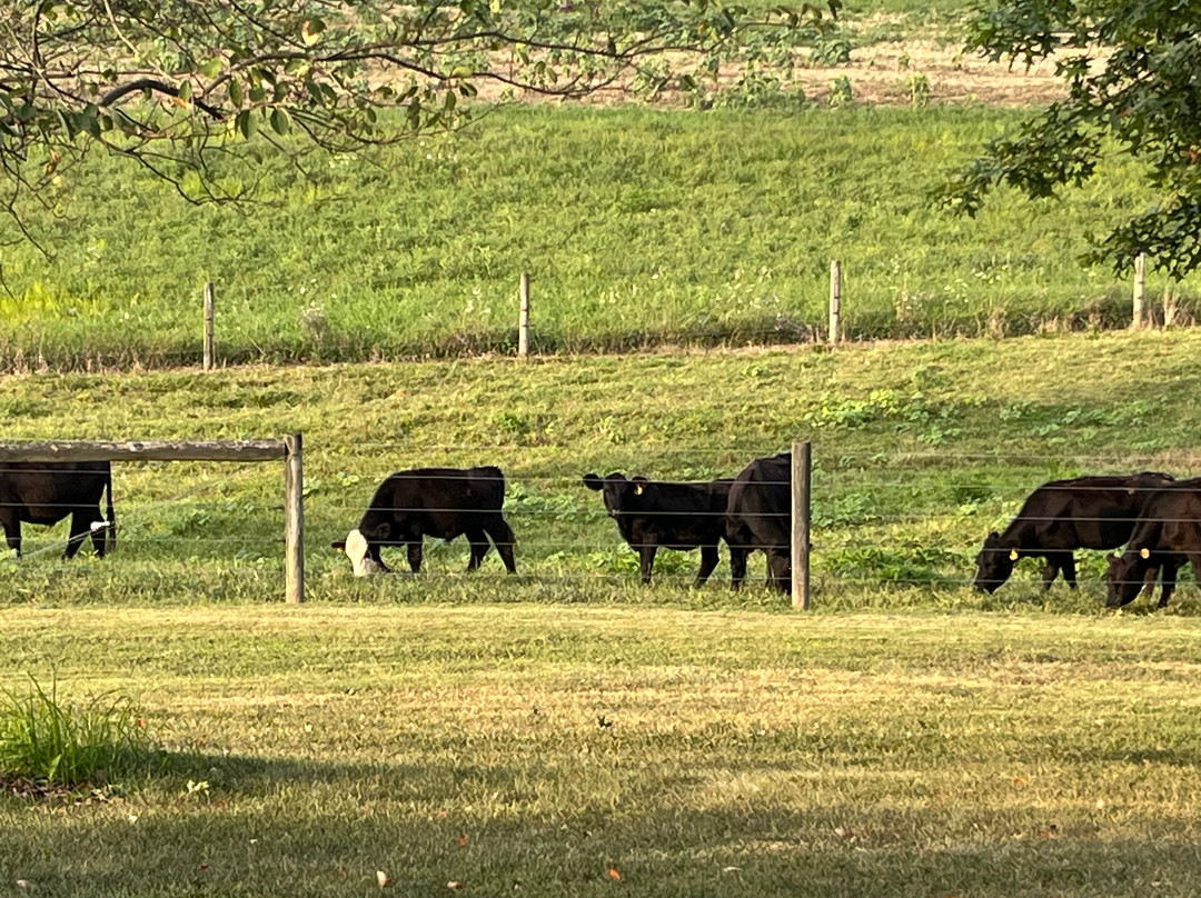 Deer Creek Winery at Watson Estate主图