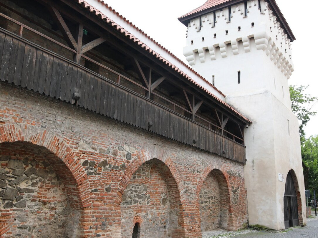 Turnul Dulgherilor-锡比乌必去景点