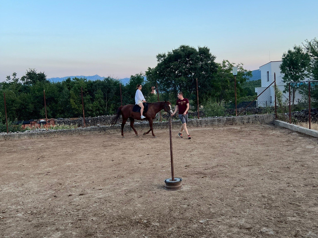 Horse and wine tours