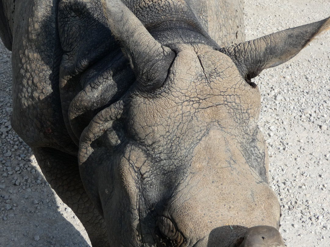 The Wilds-Cumberland必去景点