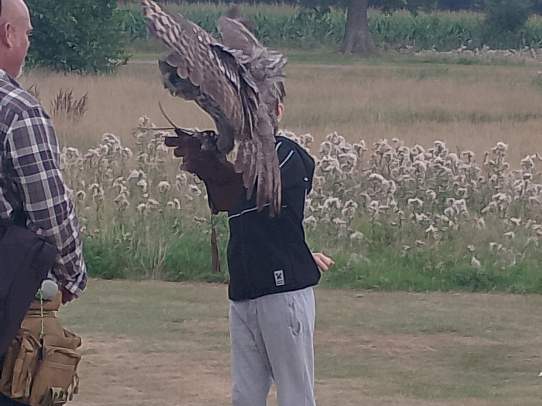 The Hawking Centre-Boughton Lees必去景点