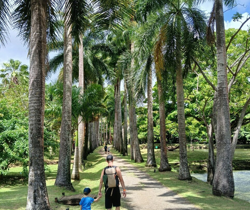 Habitation Clement-Le Francois必去景点
