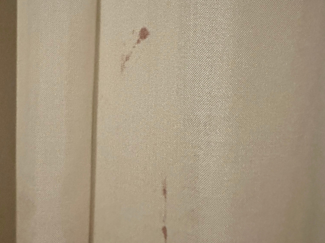 Hotel Adriatico主图