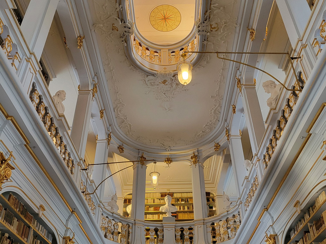 Duchess Anna Amalia Library-魏玛必去景点
