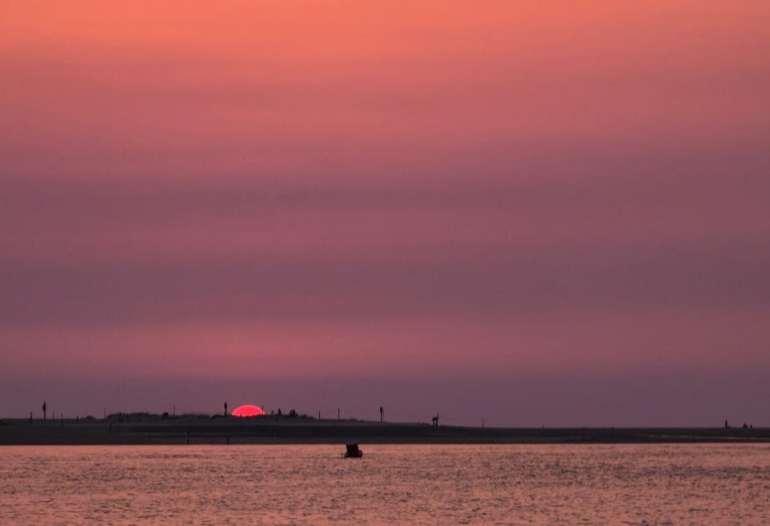 Wells Harbour Tours-Wells-next-the-Sea必去景点