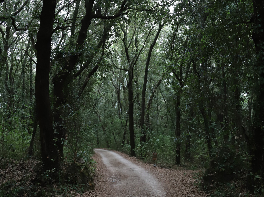 La Ghiandaia - Oasi WWF Bosco di San Silvestro-San Leucio必去景点