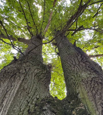 Shhapovo Estate-Shchapovo必去景点