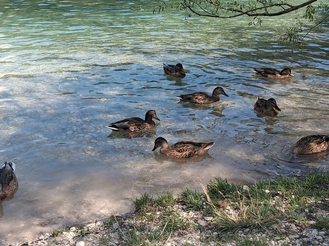 Lake Jasna-Kranjska Gora必去景点