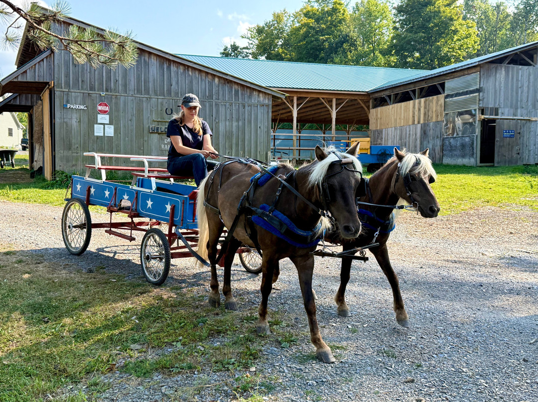 D & K Ranch-Interlaken必去景点