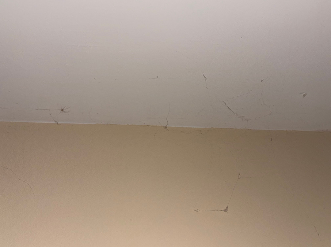 La Bastide Du Cantal主图