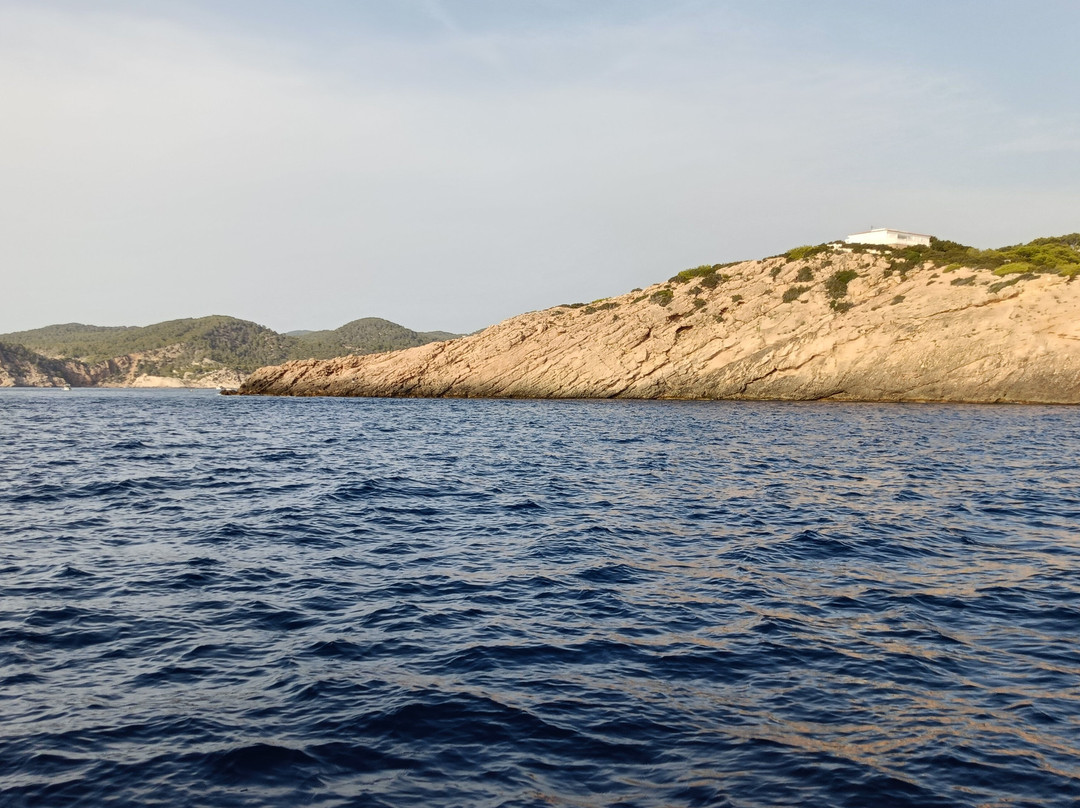Salvador Ibiza-圣安东尼德波特曼尼必去景点
