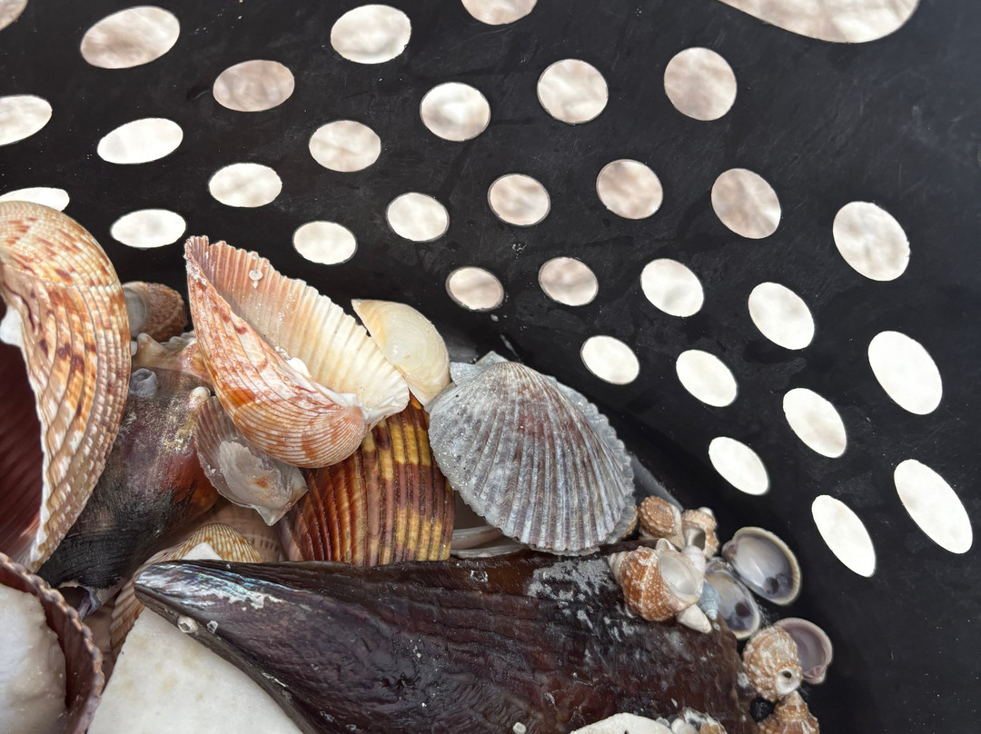 Spongeorama Sponge Factory-塔彭斯普林斯必去景点