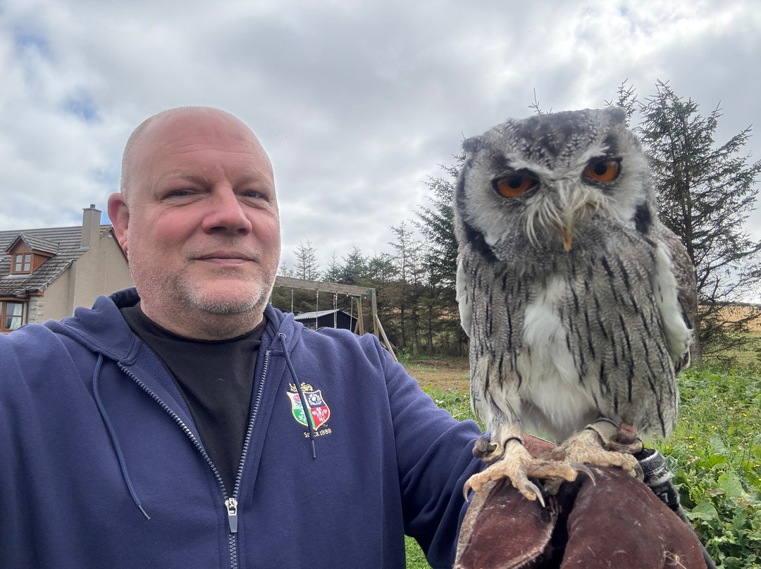 Speyside Falconry-Mulben必去景点