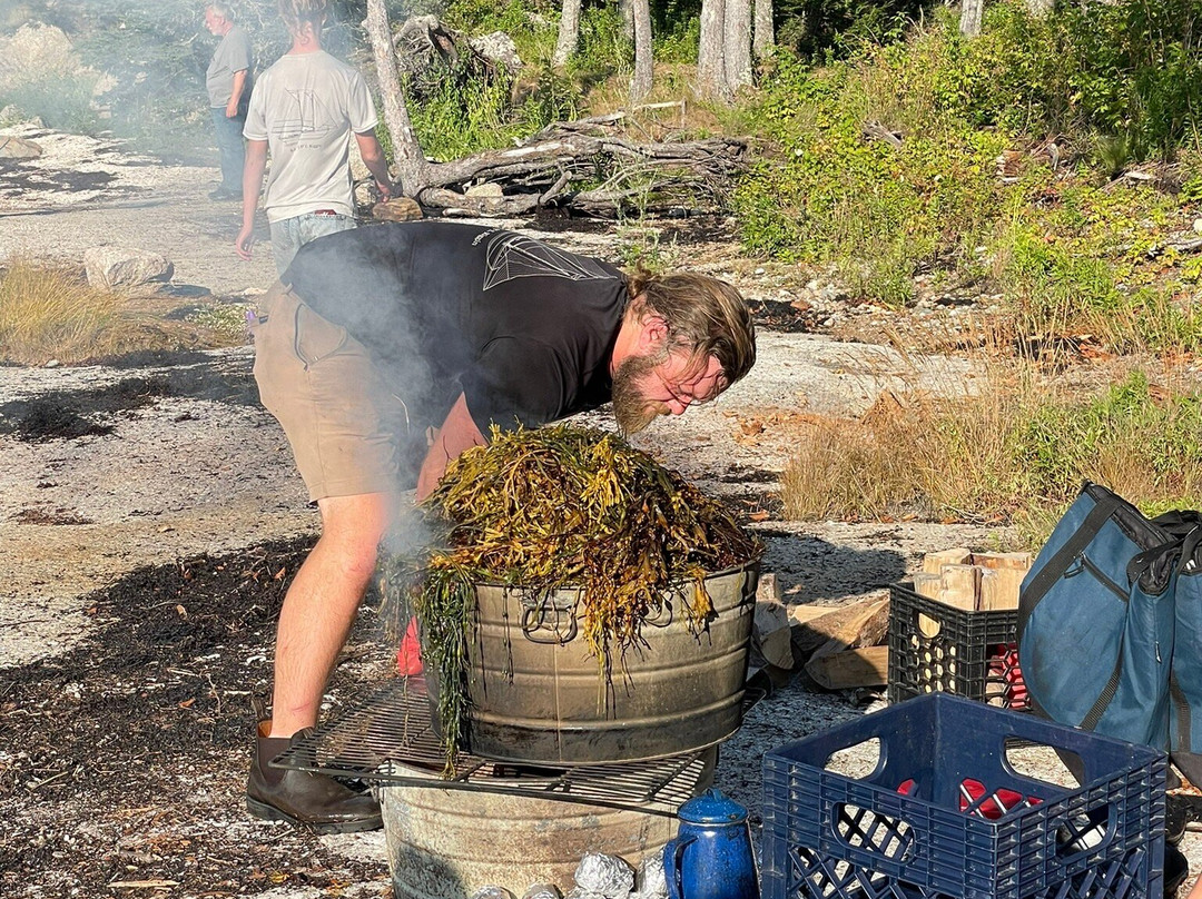Schooner J. & E. Riggin Day Cruises-罗克兰必去景点