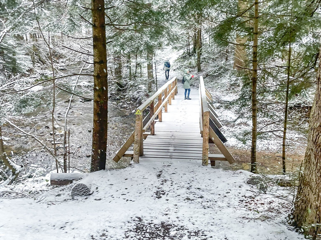 Dolina Rabskiego Potoku-Baligrod必去景点