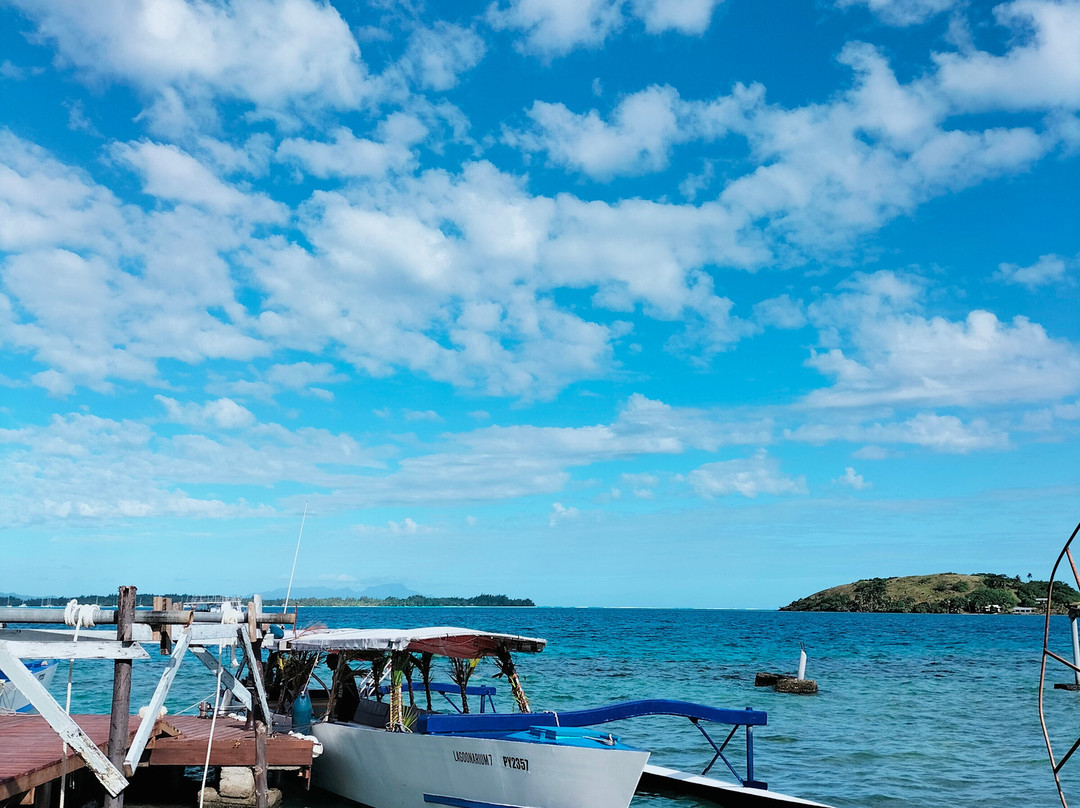Bora Bora Lagoonarium-瓦伊塔佩必去景点