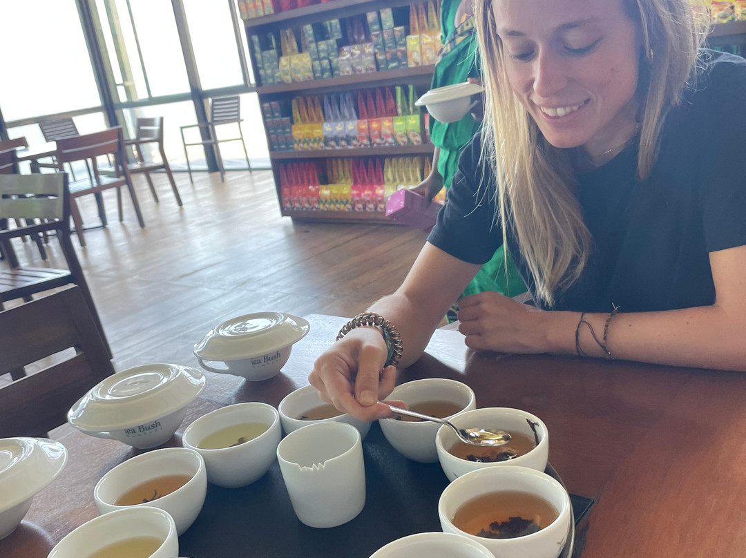 Oak Ray Tea Factory & Museum-拉马伯达必去景点