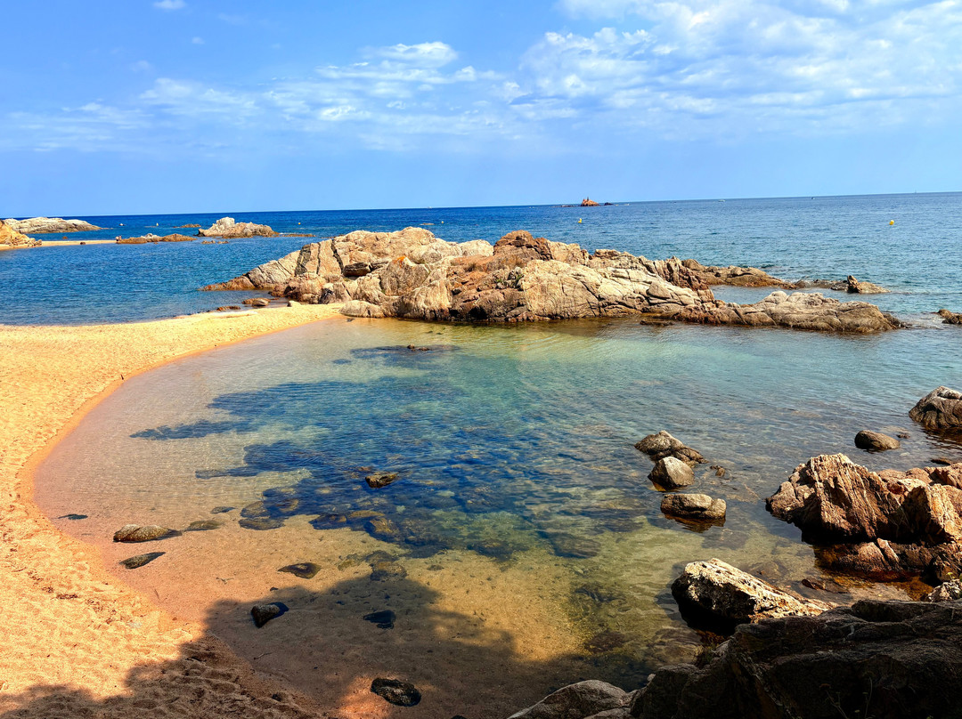 Cala Estreta-Palamos必去景点