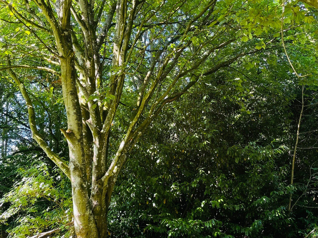 Mellerstain House & Gardens-Gordon必去景点