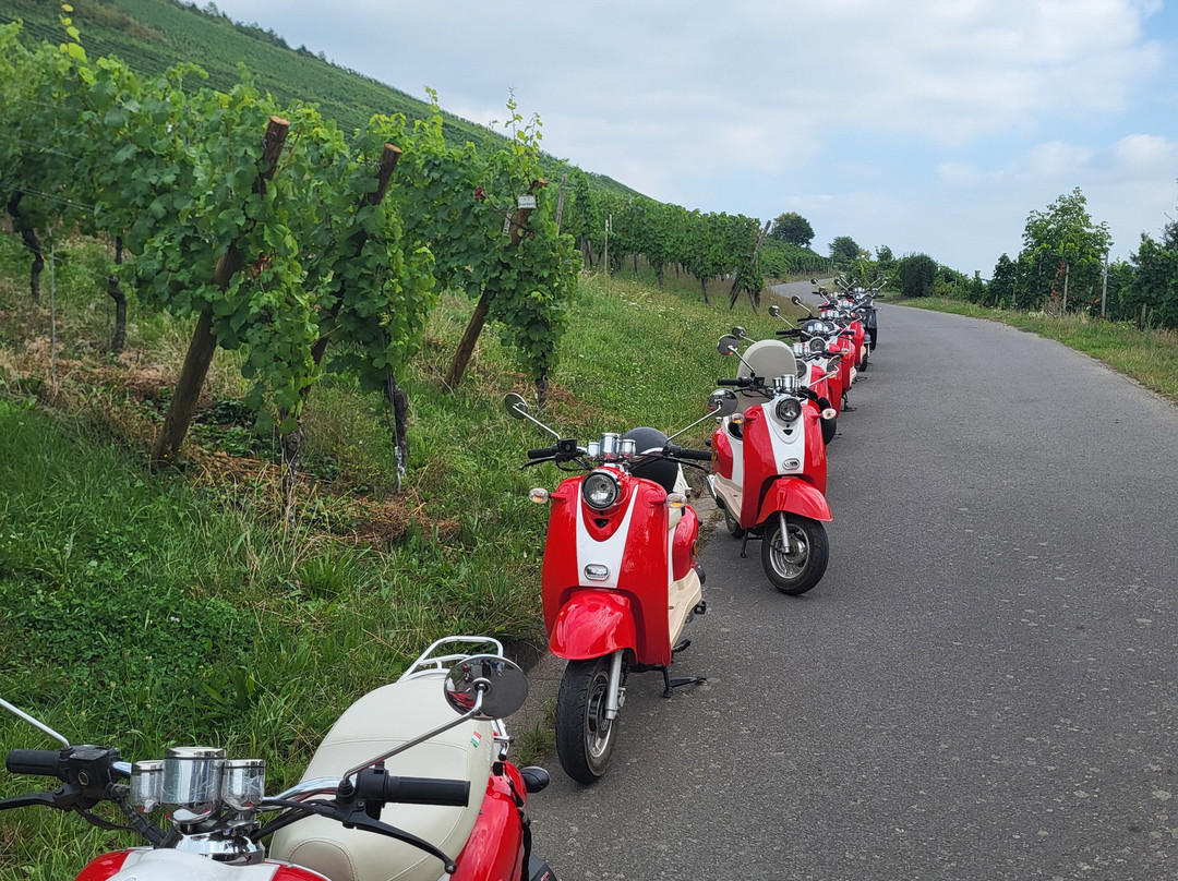 Manfred Schmitz-Zeltingen-Rachtig必去景点