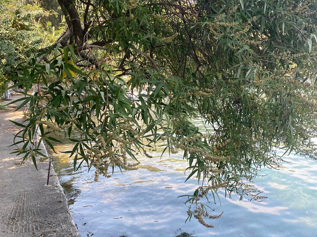 Corfu Boat Hire-Dassia必去景点