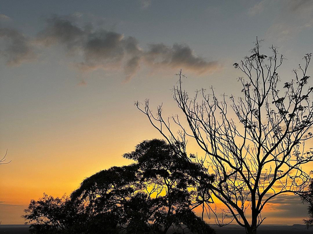 Trav-Interactive-内罗毕必去景点