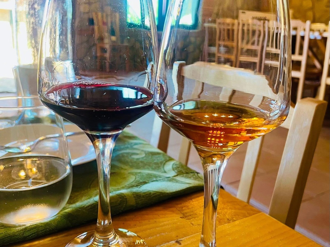 Muzzé Winery-Kakabeti必去景点