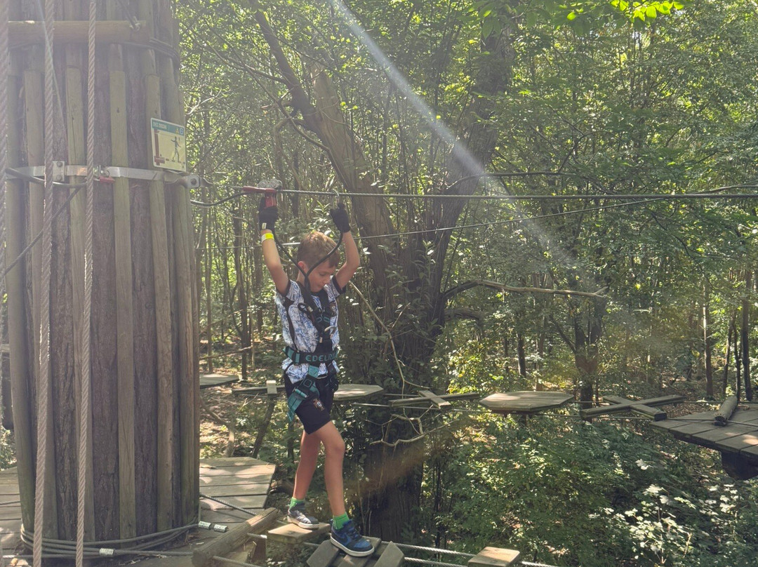 Go Ape Leeds Castle-Leeds必去景点