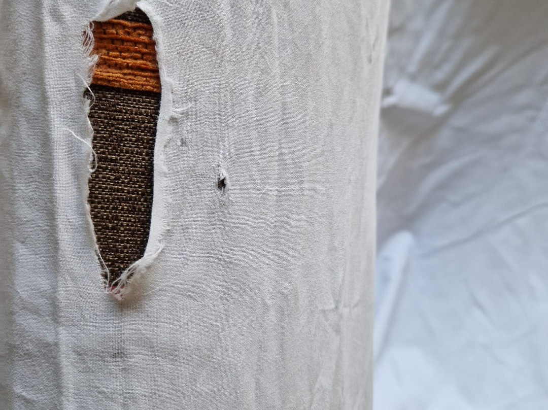 Summio Vakantiepark Emslandermeer主图