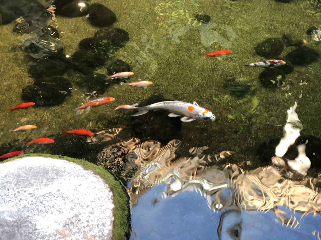 Aqua Mundo Center Parcs Park Allgäu-Leutkirch im Allgau必去景点