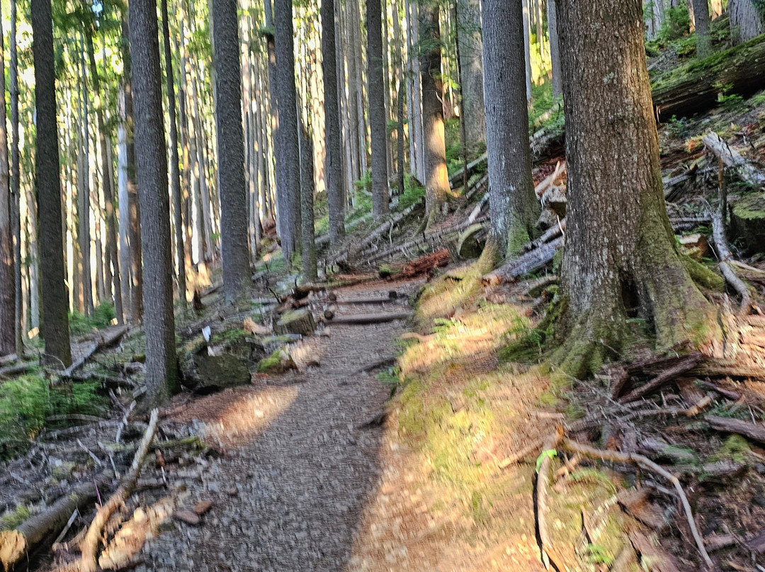 Mt Si-North Bend必去景点