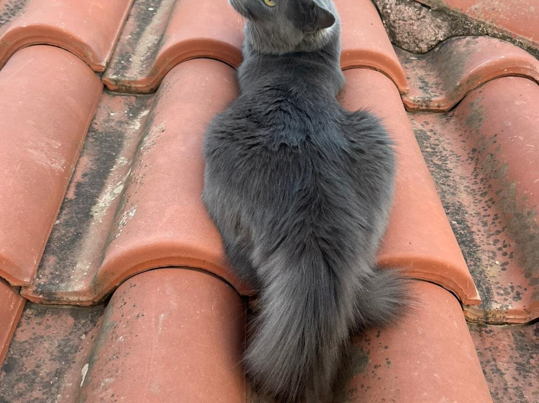 Ariadne Hotel Apartments主图