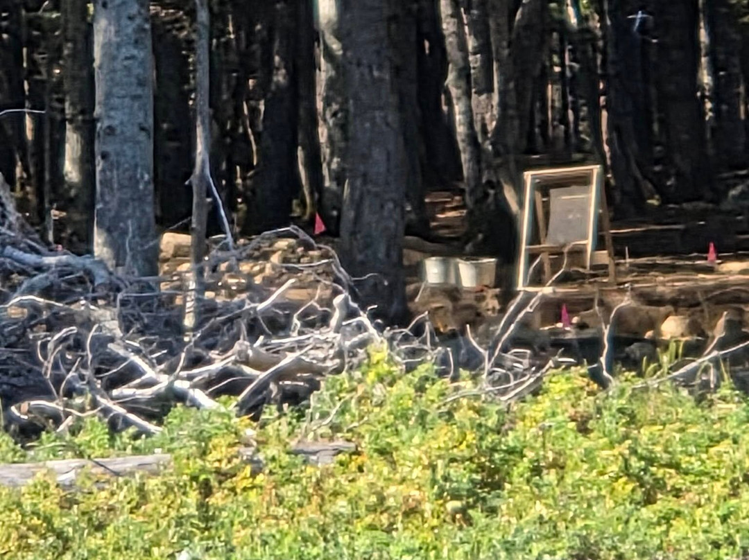 Salty Dog Sea Tours-Oak Island必去景点