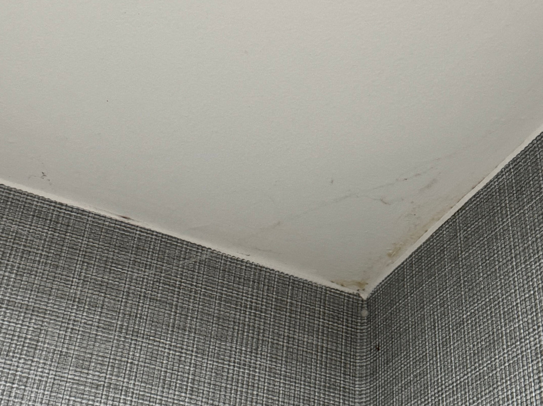 南格兰德拉匹兹凯悦普雷斯酒店主图