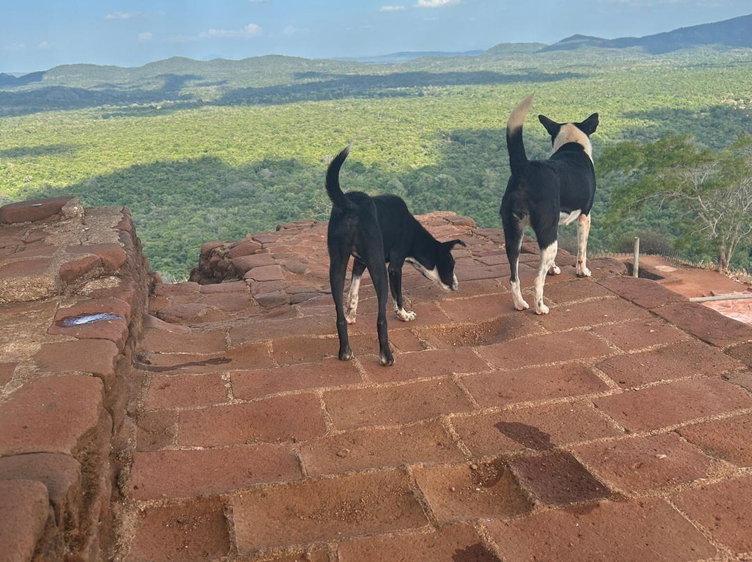 Loving Lanka Tours-康提必去景点
